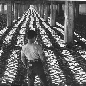 Bilder Der kleine Ausreißer