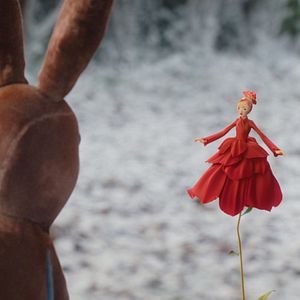 Bilder Der kleine Samthase