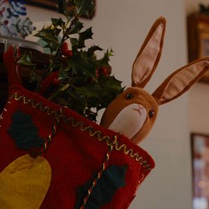 Bilder Der kleine Samthase