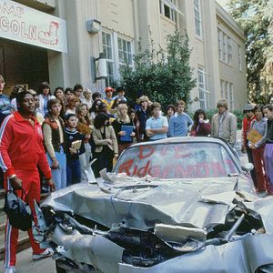 Bilder Ich glaub' ich steh' im Wald