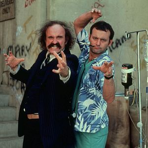 Bilder Blast - Wo die Büffel röhren