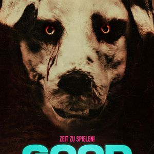 Bilder Good Boy