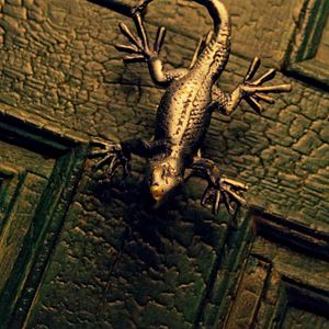 Bilder Silber und das Buch der Träume