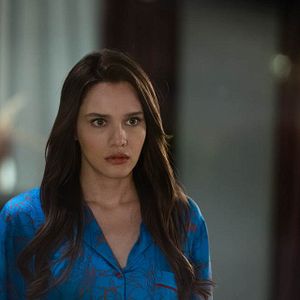 Bilder Der Vogel und die Löwin