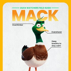 Bilder Raus aus dem Teich