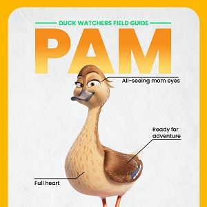 Bilder Raus aus dem Teich