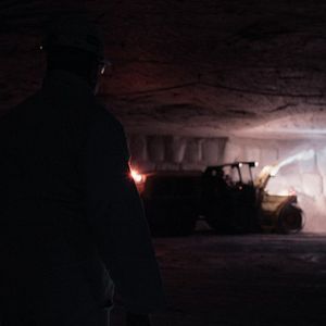 Bilder Plastic Fantastic