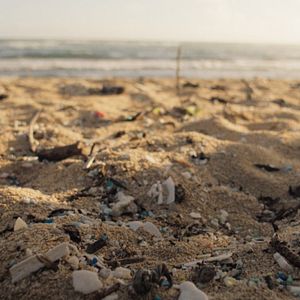 Bilder Plastic Fantastic