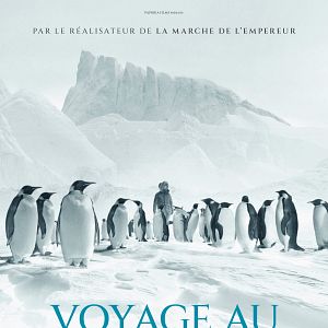 Bilder Rückkehr zum Land der Pinguine