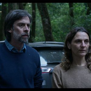 Bilder Nestor Cantillana