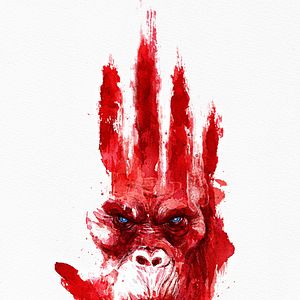 Bilder Godzilla x Kong: The New Empire