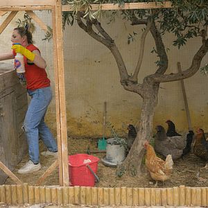 Bilder Anne-Elisabeth Blateau