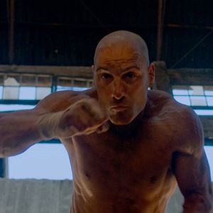 Bilder Die Faust des Condors