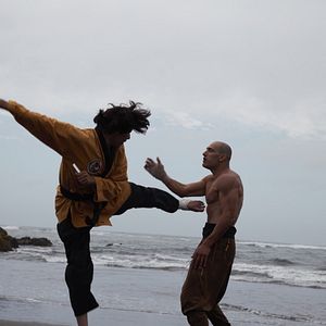 Bilder Die Faust des Condors