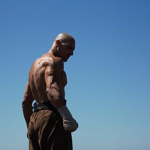 Bilder Die Faust des Condors