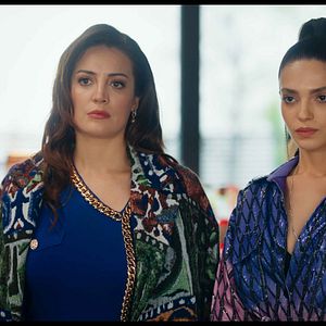 Bilder Der Vogel und die Löwin