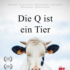 Bilder Die Q ist ein Tier