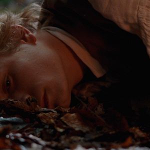 Bilder Der Pakt der Wölfe