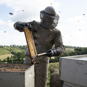 Bilder The Beekeeper