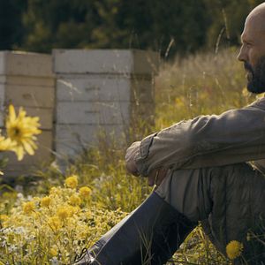 Bilder The Beekeeper