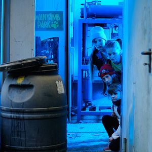 Bilder Die Chaosschwestern und Pinguin Paul