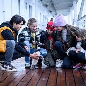 Bilder Die Chaosschwestern und Pinguin Paul