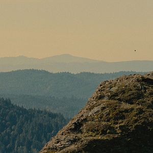 Bilder Sasquatch Sunset