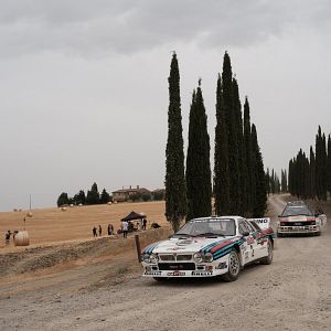 Bilder Race For Glory - Audi Vs. Lancia