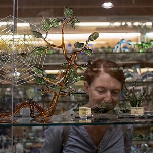 Bilder Hunter from Elswhere – Eine Reise mit Helen Britton