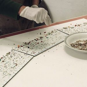 Bilder Hunter from Elswhere – Eine Reise mit Helen Britton