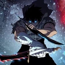 Bilder Solo Leveling