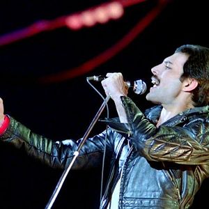 Bilder Freddie Mercury