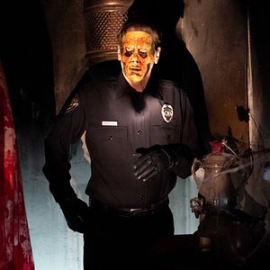 Bilder Der Fluch der Natty Knocks