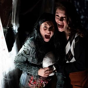 Bilder Der Fluch der Natty Knocks