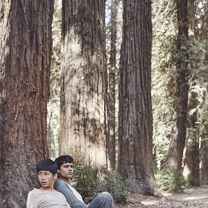 Bilder My Brothers Dream Awake