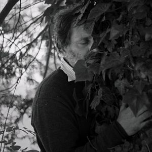 Bilder Electric Fields