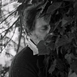 Bilder Electric Fields