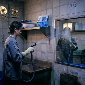 Bilder A Killer Paradox