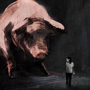 Bilder Brief an ein Schwein