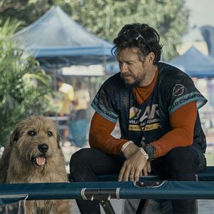 Bilder Arthur der Große