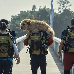 Bilder Arthur der Große