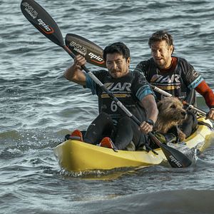 Bilder Arthur der Große