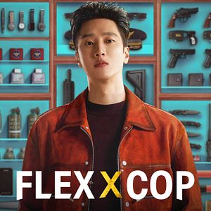 Bilder Flex x Cop