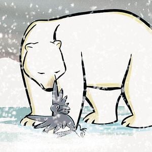 Bilder Der Junge, der ein Bär sein wollte