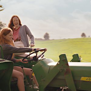 Bilder Funny Birds - Das Gelbe vom Ei 