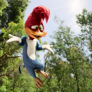 Bilder Woody Woodpecker geht ins Camp