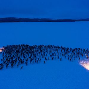 Bilder Beyond Tradition - Kraft der Naturstimmen