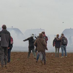 Bilder Direct Action