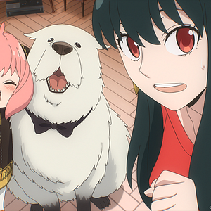 Bilder SPY x FAMILY - CODE: White