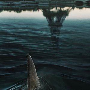 Bilder Im Wasser der Seine